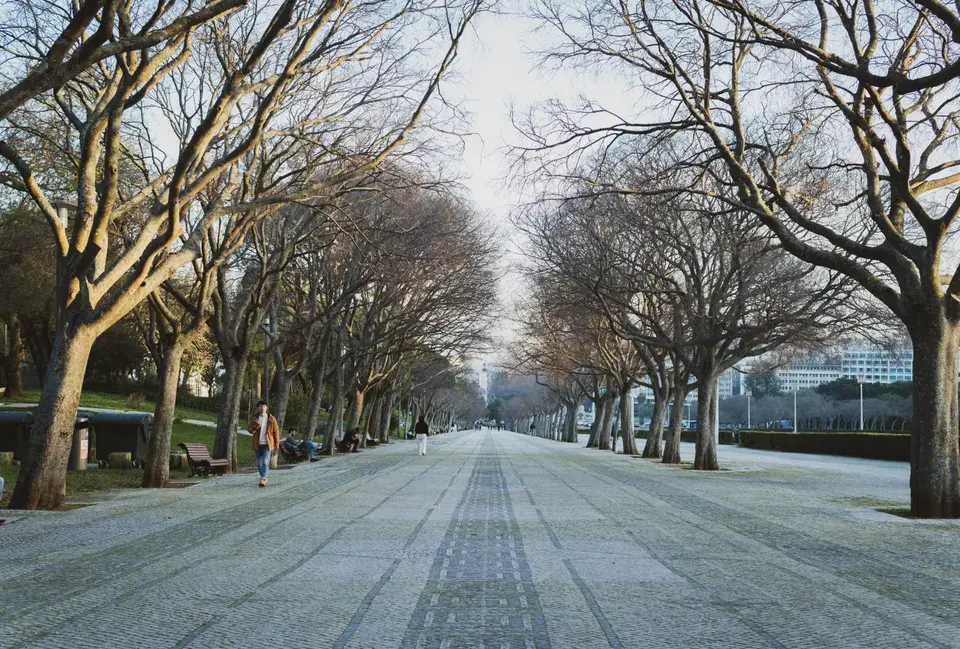 Local Expertise for Louisville's Roads — Louisville, CO
